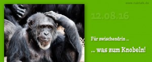 Stammapostel Werkzeuge des Lichts oder der Finsternis